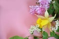 Beautiful spring flowers or sommer white of apple or bird cherry, daffodil, lilac or purple aster on a pink background