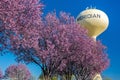 Beautiful spring trees and water tower