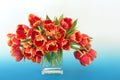 Beautiful Spring Vivid Tulip Flower Arrangement