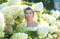 Beautiful spring woman. Sensual girl in blooming bush of hydrangea flowers in spring garden. Hydrangeas shrubs flowers Royalty Free Stock Photo