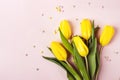 Beautiful spring yellow tulip flowers on pastel pink background for greeting message. Holiday mock up Royalty Free Stock Photo