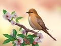 Beautiful springtime nightingale bird perched on a blossoming tree.