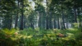 Beautiful spruce forest with bright sun shining through the trees and mushroom. 3d rendering