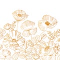 Beautiful square backdrop with blooming poppy flowers and leaves at bottom edge hand drawn with golden contour lines on