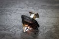 Beautiful is square with women`s perfume bottle