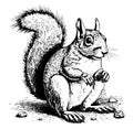 Beautiful squirrel hand drawn sketch Vector illustration