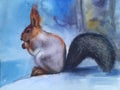 Beautiful squirrel in the snow