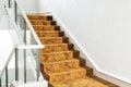 beautiful stair step with carpet