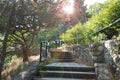 A beautiful staircase with stone steps and a metal lattice among the thickets of trees in a shady Park, the sun shines through the Royalty Free Stock Photo