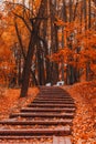 Beautiful stairs,fall in the Park Tsaritsyno Royalty Free Stock Photo