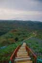 Beautiful stairs in the onion plantation of Majalengka west java. Royalty Free Stock Photo