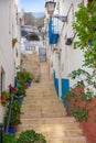 Beautiful stairway with flowers in the old city of Alicante Royalty Free Stock Photo