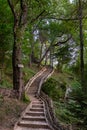 Beautiful stairway path through the forest