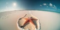 Beautiful Starfish on Maldives Beach. Perfect for Posters and Wallpapers.