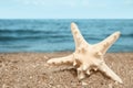 Beautiful starfish on sand near sea, space for text. Beach object Royalty Free Stock Photo