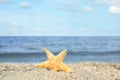 Beautiful starfish on sand near sea,  for text. Beach object Royalty Free Stock Photo