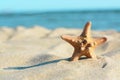 Beautiful starfish on sandy beach near sea, closeup. Space for text Royalty Free Stock Photo