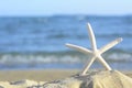 Beautiful starfish on sandy beach near sea, closeup. Space for text Royalty Free Stock Photo