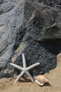 Beautiful starfish and sea shell near black stone on sandy beach, space for text Royalty Free Stock Photo