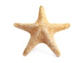 Beautiful starfish on white background. Beach