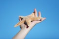 Beautiful starfish in woman's hand