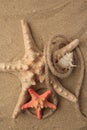 Beautiful starfishes, sea shell and rope on sand, flat lay Royalty Free Stock Photo