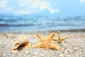 Beautiful starfishes and shell on sand near sea. Beach object Royalty Free Stock Photo