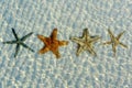 Beautiful starfishes under water Royalty Free Stock Photo