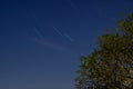 Beautiful starry night sky and meteor above the trees