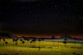 Beautiful starry night sky over the jardim de maytrea, chapada dos veadeiros, brazil Royalty Free Stock Photo