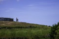Beautiful stately and drawn gray horse on the horizon of a high meadow on the island of Sao Jorgen, Azores archipelago.