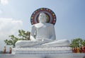 Beautiful statue of Buddha on the roof of the temple in Colombo Royalty Free Stock Photo