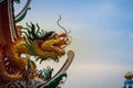 Beautiful statue of Chinese dragon on a roof top in Chinese temp Royalty Free Stock Photo