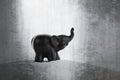Elephant figurine on an isolated background with different effect Royalty Free Stock Photo