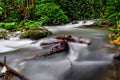 Beautiful steam in forest, Thailand