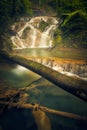 Beautiful steamy waterfall flowing in stairs deep into a mountain forest with a tree log fallen over the river Royalty Free Stock Photo