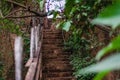 Steps in a forest leading up Royalty Free Stock Photo