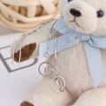 Beautiful 925 sterling silver earrings display on a toy bear Royalty Free Stock Photo