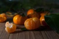 Juicy tangerines. Still life.