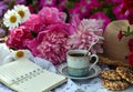 Beautiful still life with peony flowers, vintage cup and cookies on the table. Royalty Free Stock Photo