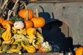 Pumpkins an gourds still life market stand detail with asymmetrical balance