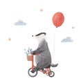 Beautiful stock baby illustration with very cute hand drawn watercolor badger on bike with red air baloon.