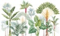 Beautiful stock clip art illustration with watercolor hand drawn tropical palm trees.