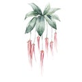 Beautiful stock floral illustration with hand drawn watercolor exotic jungle Orchid dynasty flowers.