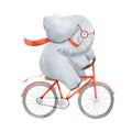 Beautiful stock illustration with cute watercolor baby elephant on bike. Animal with bicycle hand drawn painting. Royalty Free Stock Photo