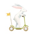 Beautiful stock illustration with cute watercolor baby rabbit on scooter. Animal hand drawn painting.