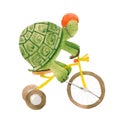 Beautiful stock illustration with cute watercolor baby turtle on bike. Animal with bicycle hand drawn painting. Royalty Free Stock Photo