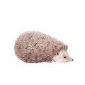 Beautiful stock illustration with hand drawn watercolor wild hedgehog animal.