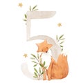 Beautiful stock illustration with watercolor hand drawn number 5 and cute fox animal for baby clip art. Five month
