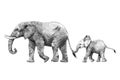 Beautiful stock pencil illustration with safari elephant family. Royalty Free Stock Photo